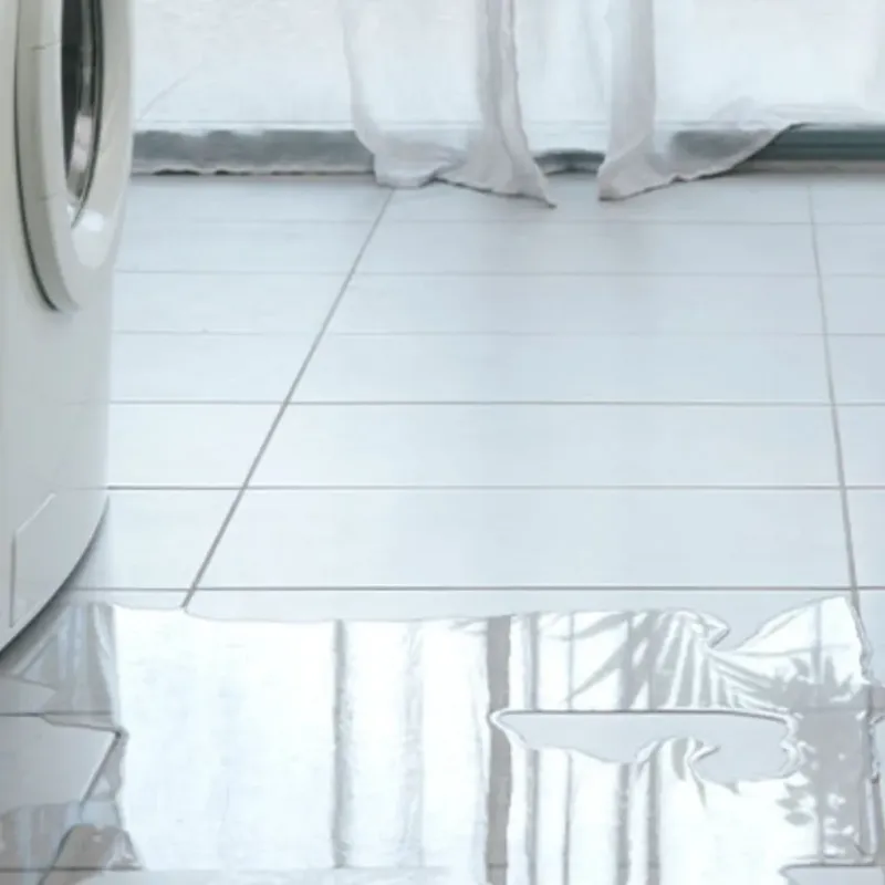 Appliance Leak Cleanup in Anna, OH