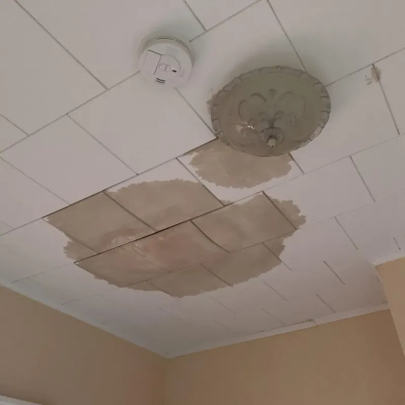 Ceiling Water Damage Repair in Anna, OH