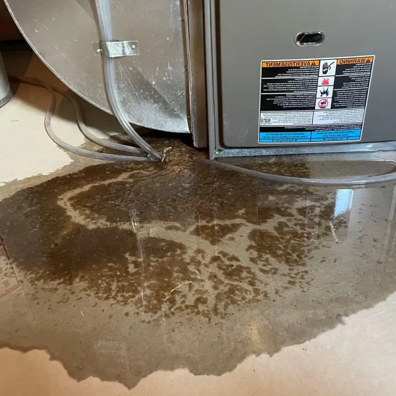 Pipe Burst and Leak Restoration in Anna, OH