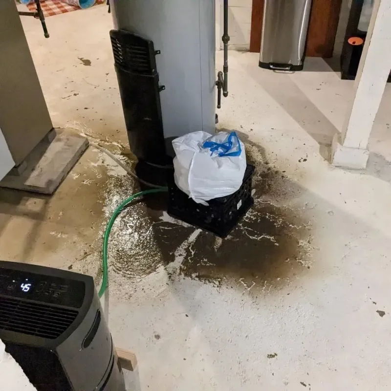 Sewage Backup Cleanup Service in Anna, OH